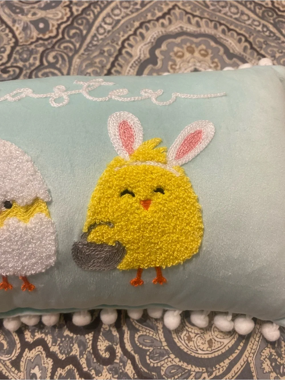 Easter Chick Decorative Pillow - Light Blue